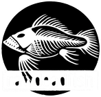 Raw Dead Fish